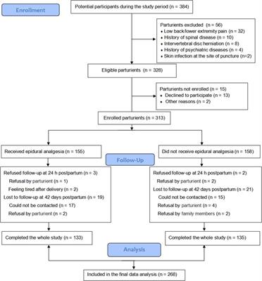 Effect of epidural labor analgesia on maternal and infant outcomes in parturients with gestational diabetes mellitus—A prospective cohort study